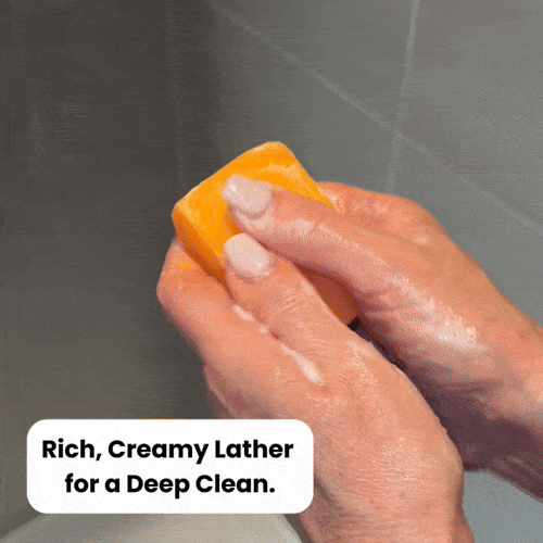 Persimmon Soap (6 Pack)