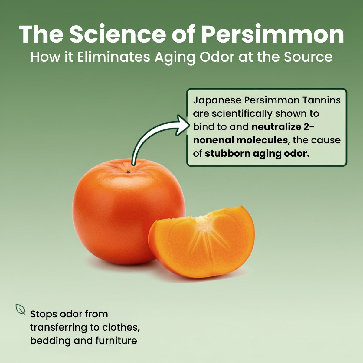 Persimmon Soap (3 Pack)