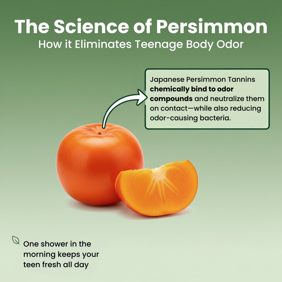Persimmon Soap For Teens